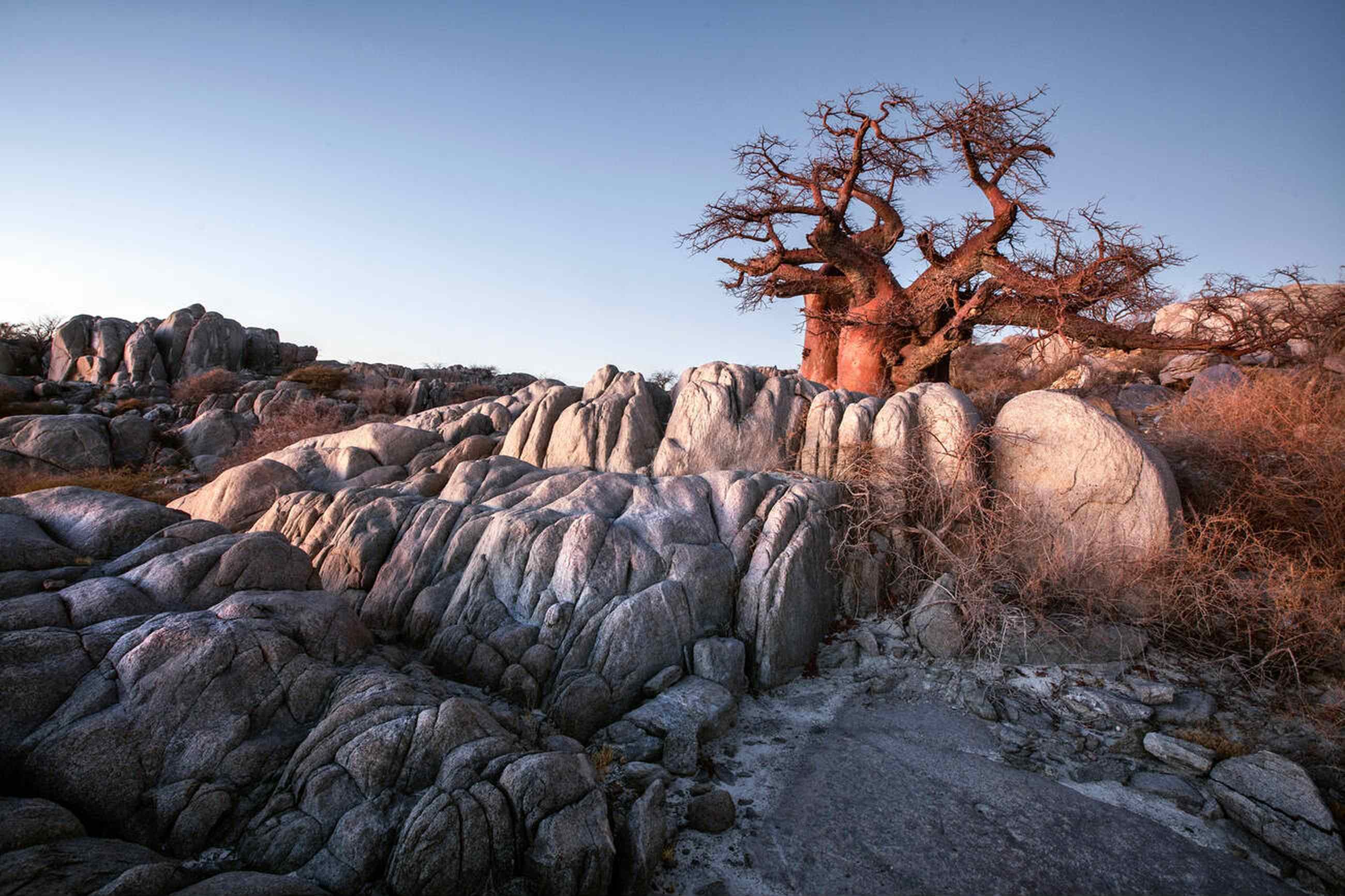 Etosha